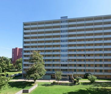 Gemütliche, zentral gelegene Wohnung nahe Shoppi-Tivoli - Foto 4