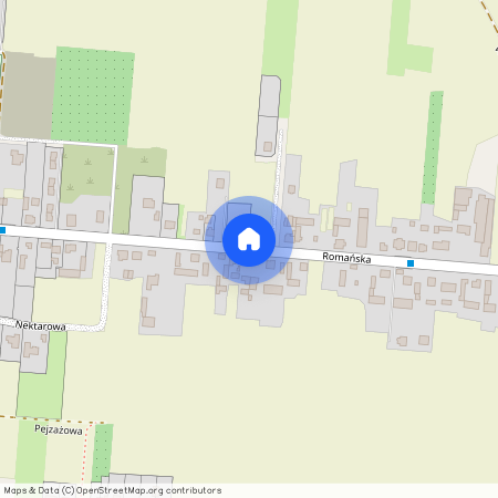 ul. Romańska, Sulisławice, Kalisz, wielkopolskie