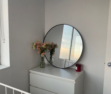 Spring Hill - Photo 5