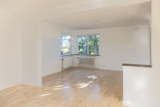 Markvägen, Saxtorp - Foto 1