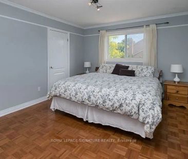 Detached Home For Lease | N9061837 - Photo 4