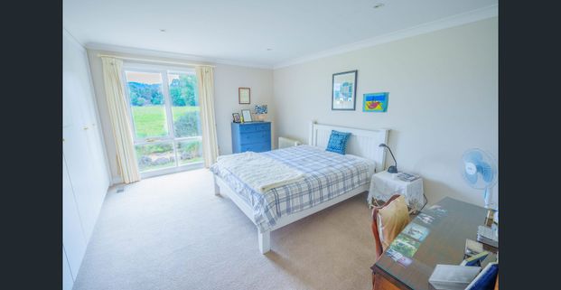 Peace & Quiet - Photo 1