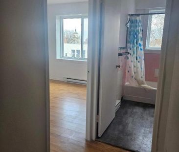 1 CH - 1 SDB - Montréal - $1,245 /mo - Photo 1
