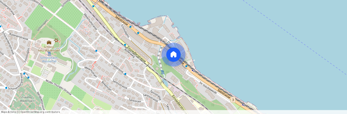 8820, Wädenswil, Seestrasse, 19