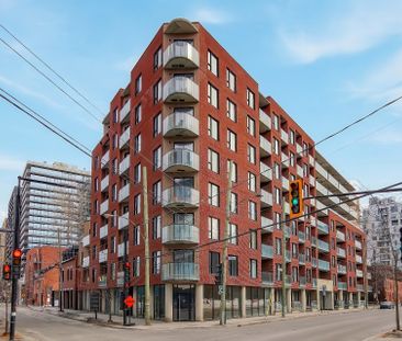 225 Rue de la Montagne, Montréal (Le Sud-Ouest), QC H3C - Photo 4
