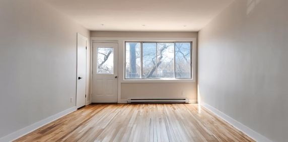 1 CH - 1 SDB - Montréal - $1,250 /mo - Photo 2