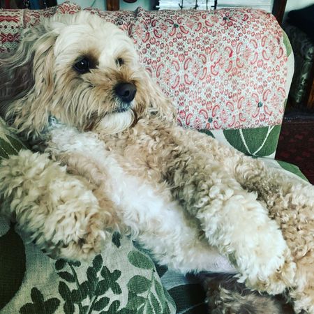 Albert Park - Photo 2