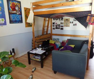 Location Appartement 1 pièce 27m² ANGERS 49100 - Photo 3
