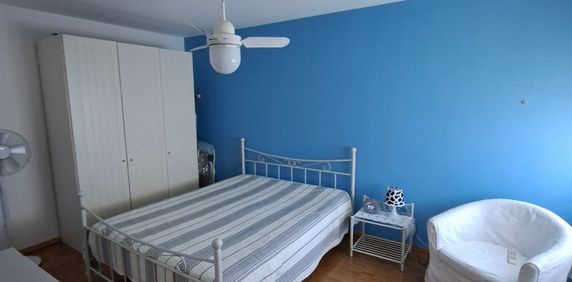 2.5 Zimmer - Photo 2