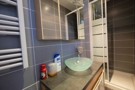 Location Appartement 2 pièces Meublé 34m² ST ETIENNE 42000 - Photo 5