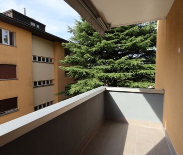 Luminoso appartamento 2.5 locali RISTRUTTURATO a Mendrisio - Foto 4