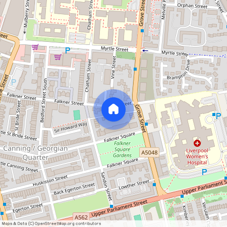 Back Falkner Street South, Liverpool, L8