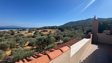 Studio/Γκαρσονιέρα για ενοικίαση Αγία Παρασκευή (Λέσβος - Μυτιλήνη) - Photo 2