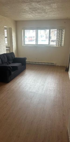 Laval 4 1/2 - Photo 1