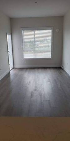 APARTMENT SUITE FOR RENT - Photo 1