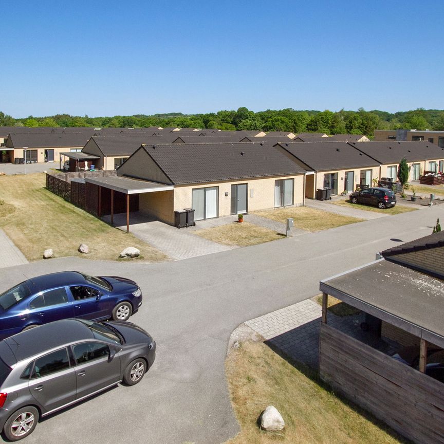 Egevænget 34, 8870 Langå - Photo 1