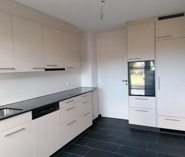 Row of single-family homes looking for a small family with a green ... - Photo 1