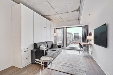 Appartement à louer - Montréal (Ville-Marie) (Centre) - Photo 2
