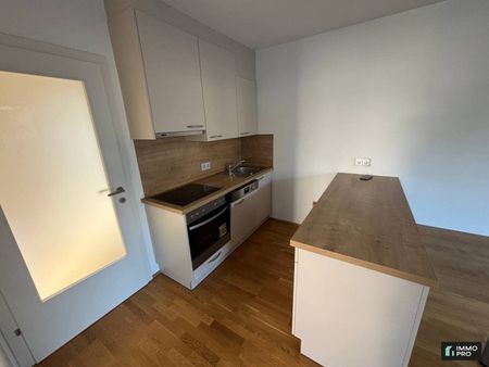 #WOHNUNG #EIGENGARTEN #MIETE #KLAGENFURT #HANS-SACHS-STR. 32/ TOP 4 #ROSENEUM - Foto 5