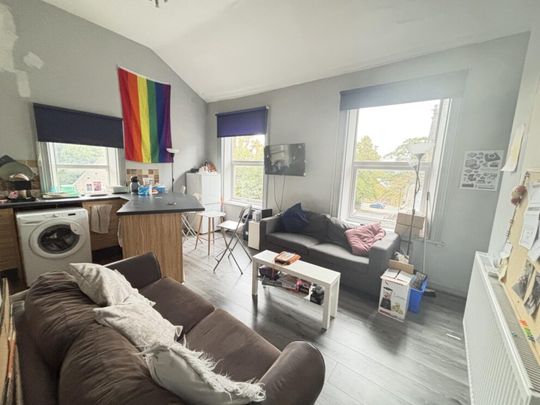 2 Flat 1 Ashwood Villas, Leeds, LS6 2EJ - Photo 1