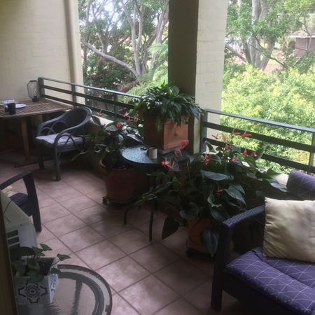 Abbotsford - Photo 4