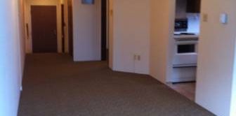 1 Bedroom Apartment in Kitsilano - 2 BLOCKS TO KITS BEACH - Photo 2