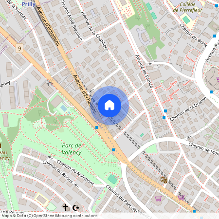 1004, Lausanne, Chemin Des Avelines, 1