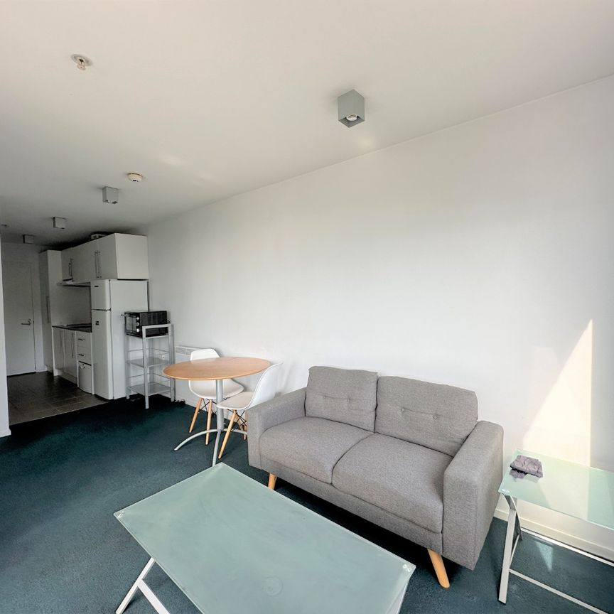 Centrally located Fully Furnished 1 bedroom apartment - Photo 1