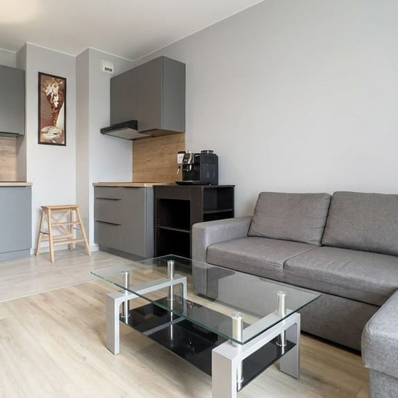 Nowe mieszkanie, osiedle Wilno 33.45 m² - Zdjęcie 1