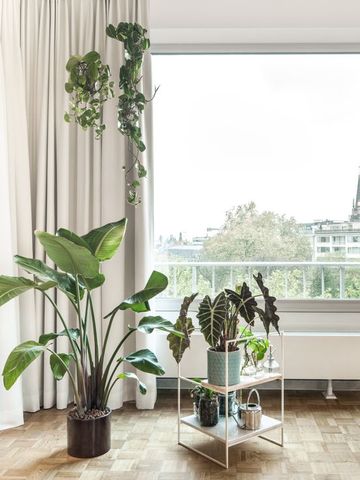 Studio te huur - Photo 4