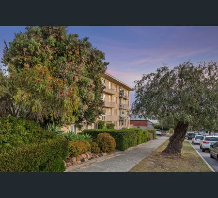 23/59 Walcott Street, Mount Lawley, WA 6050 - Photo 5
