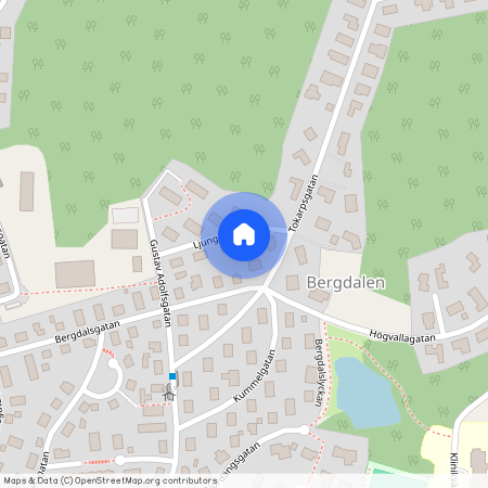 Ljunglidsgatan 8, 504 58, Borås