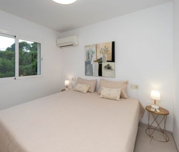 Carrer Calma, 11, 07160 Peguera, Illes Balears, Spain, Peguera, Bal... - Photo 6