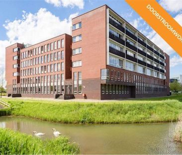 Appartement pour seniors Het Ravelijn 486, Stadshart, Lelystad - À ... - Foto 4