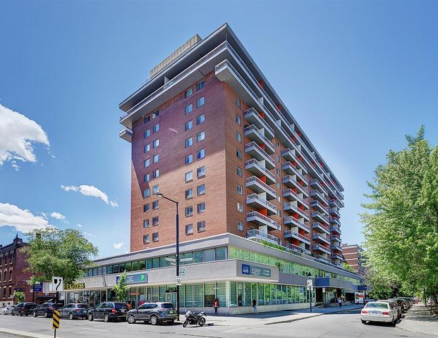 Studio - 1570 St-Timothée, Montréal - Photo 1