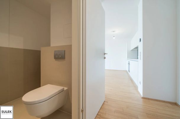 Helle 2 Zimmer Dachgeschosswohnung mit hofseitiger Terrasse - Abendsonne auf der eigenen Terrasse genießen! // ab 02/26 **VIDEO** - Foto 1