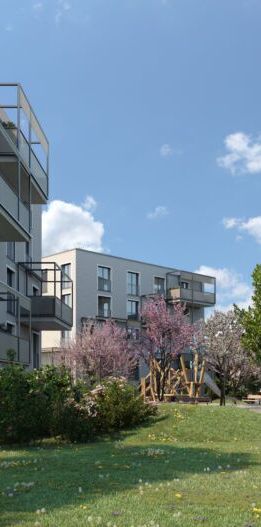 Urban living in Anken Park - Photo 1