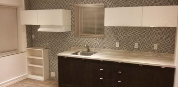 3 1/2 Grand, Rosemont, 24eme Avenue - Photo 2