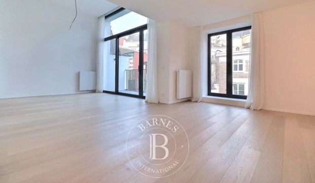 Congress - Furnished 2bedroom apartment - Foto 1