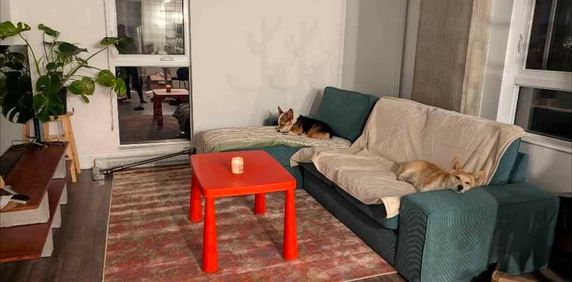 Appartement de 2 chambres et 1 salle de bain - Photo 2