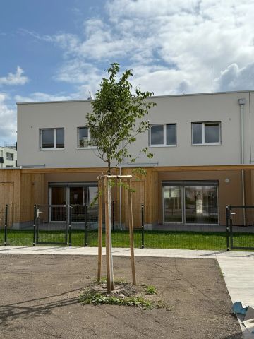 Doppelhaushälfte mit Terrasse und Garten, Top 11A - Photo 5