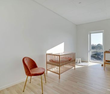 Velkommen til Hørparken! - Photo 4