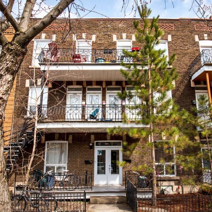 Très grand 4 et 1/2 au Plateau Mont Royal - Photo 1