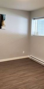 2 Bedroom, 1 Bath Suite - Photo 4