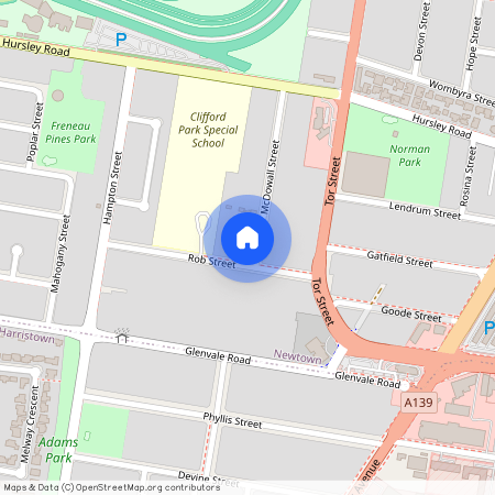 29 McDowall Street, Newtown