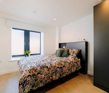 Davey - Studio Style B02 - Photo 4