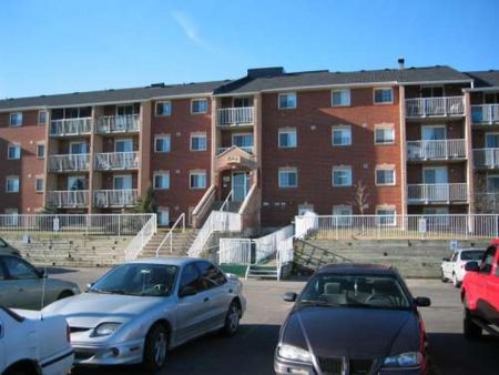 105-566 Armstrong Road - Lower Level 2 Bedroom - Photo 4