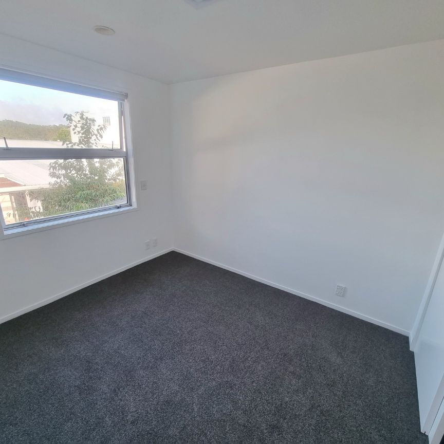 Albany - modern apartment fantastic location - Photo 1