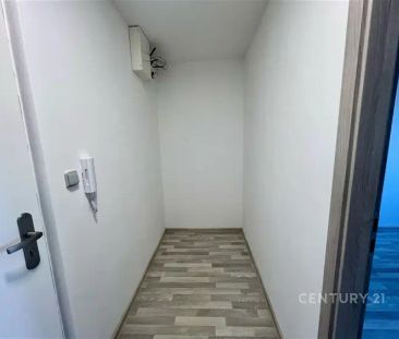 Pronájem stylového bytu 3+1 u nové nemocnice ve Znojmě - Photo 5