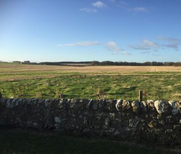 2 bedroom bungalow to rent - Photo 6